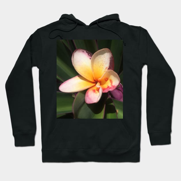 Caribbean Tropical Flower Hoodie by SoCalDreamin